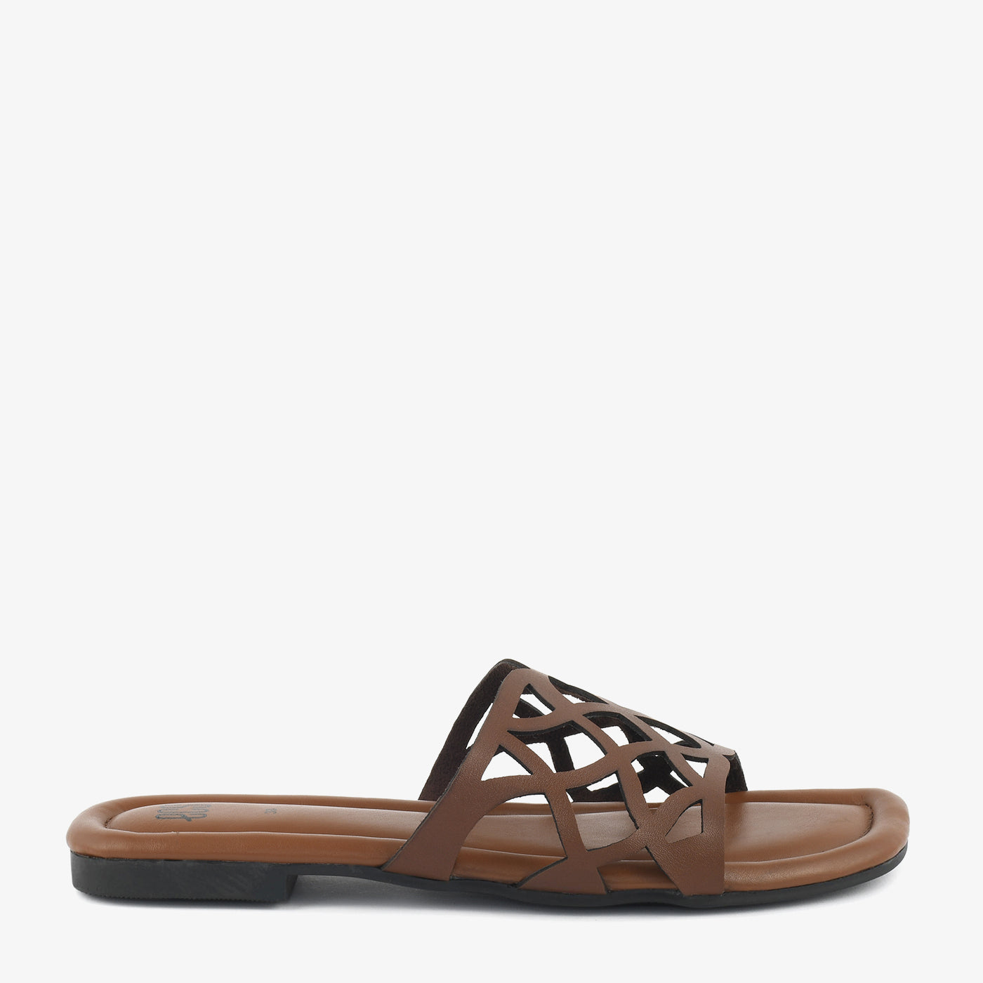 Mocha Lattice - Image 3