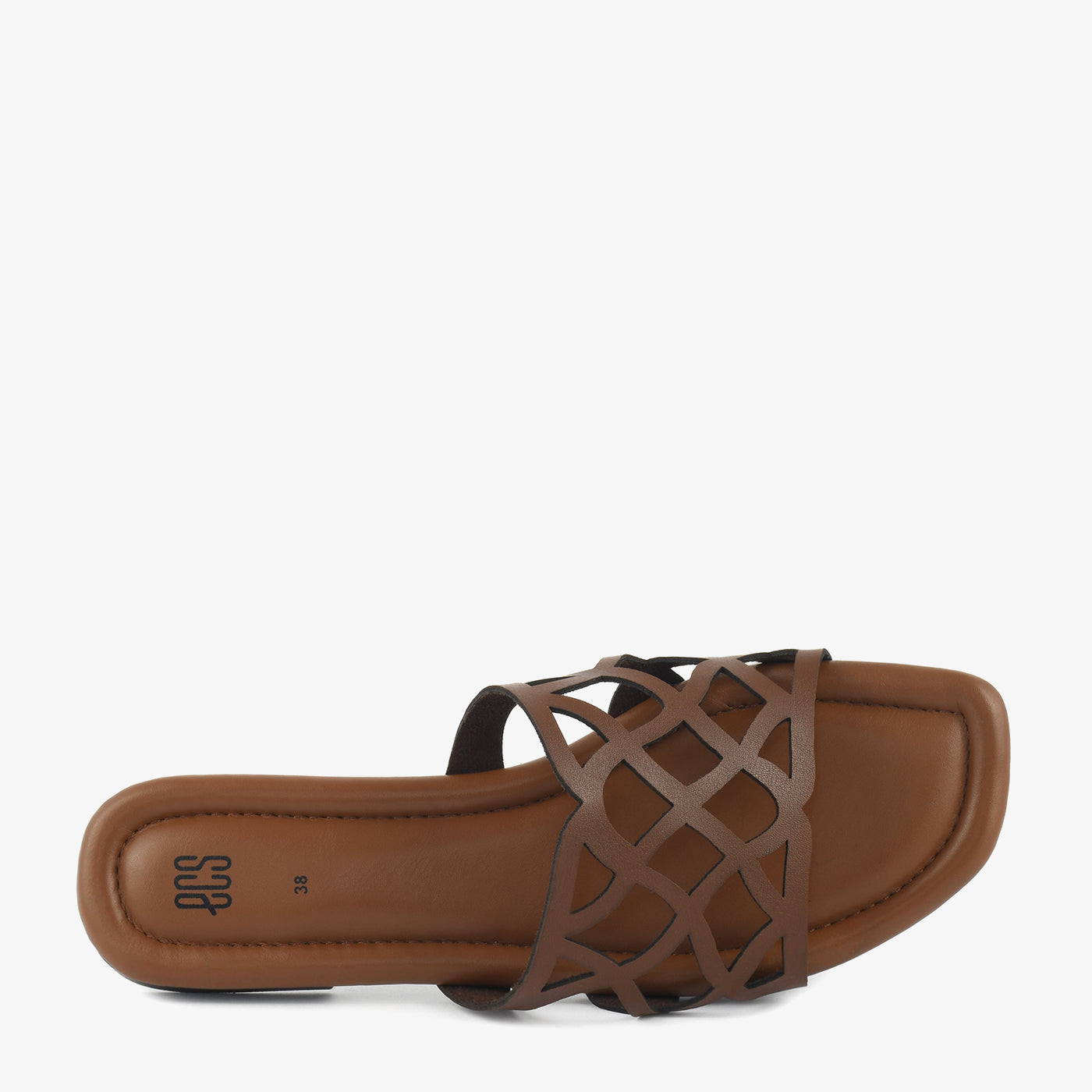Mocha Lattice - Image 4