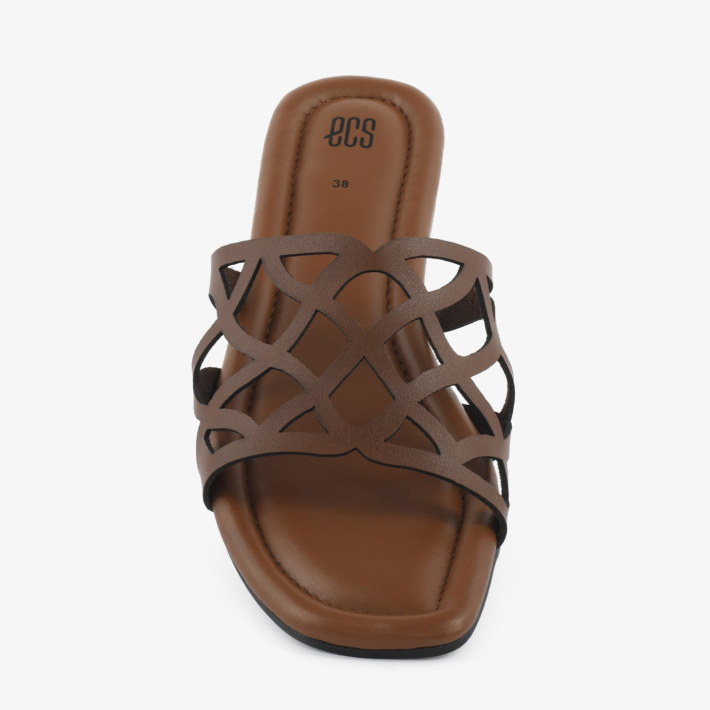 Mocha Lattice - Image 5