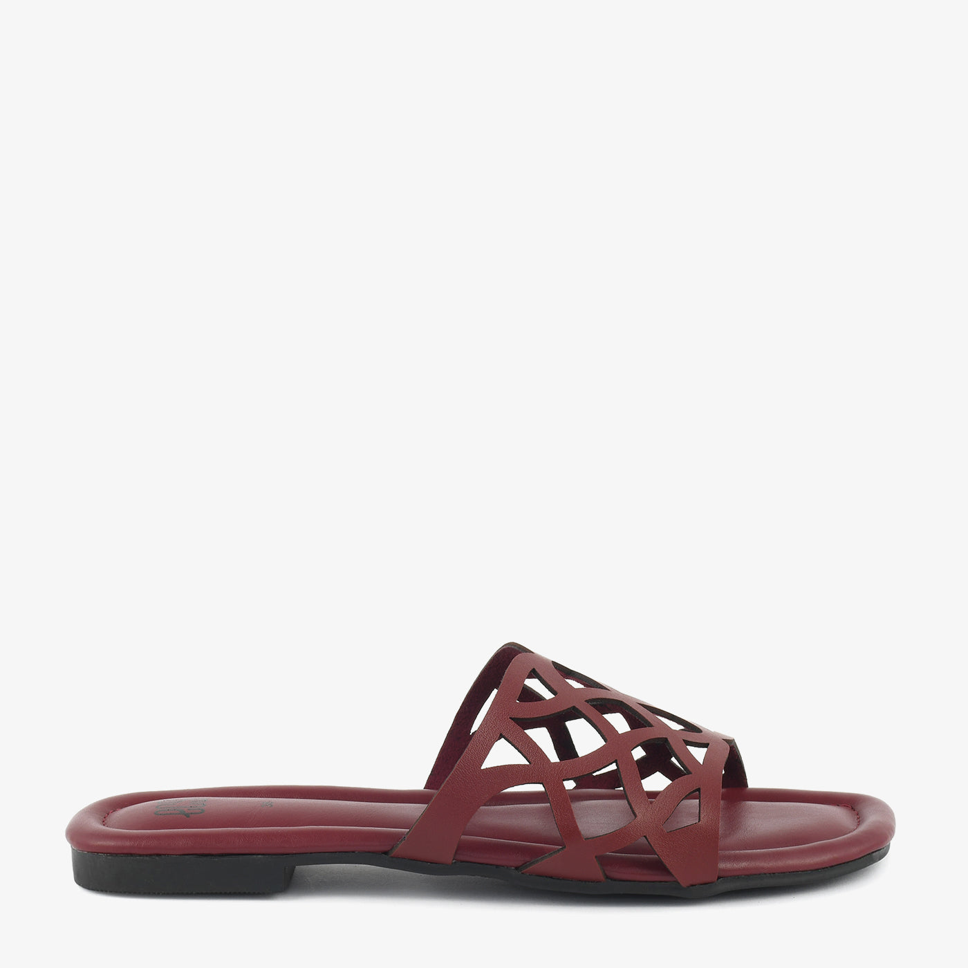 Mocha Lattice - Image 8