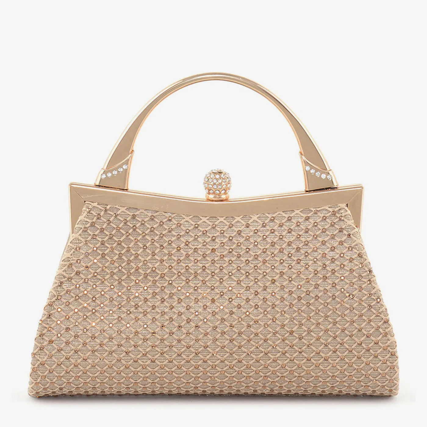 Shimmery Clutch