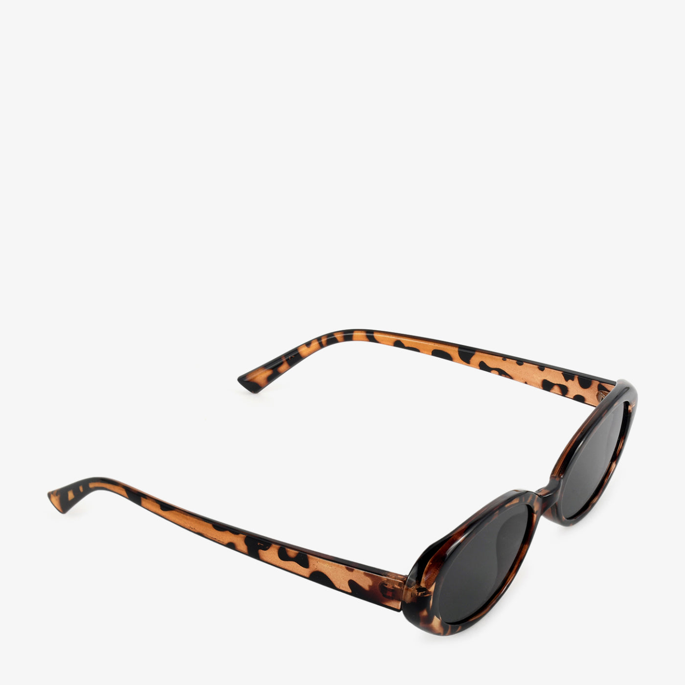 Oval Dapple - Image 6