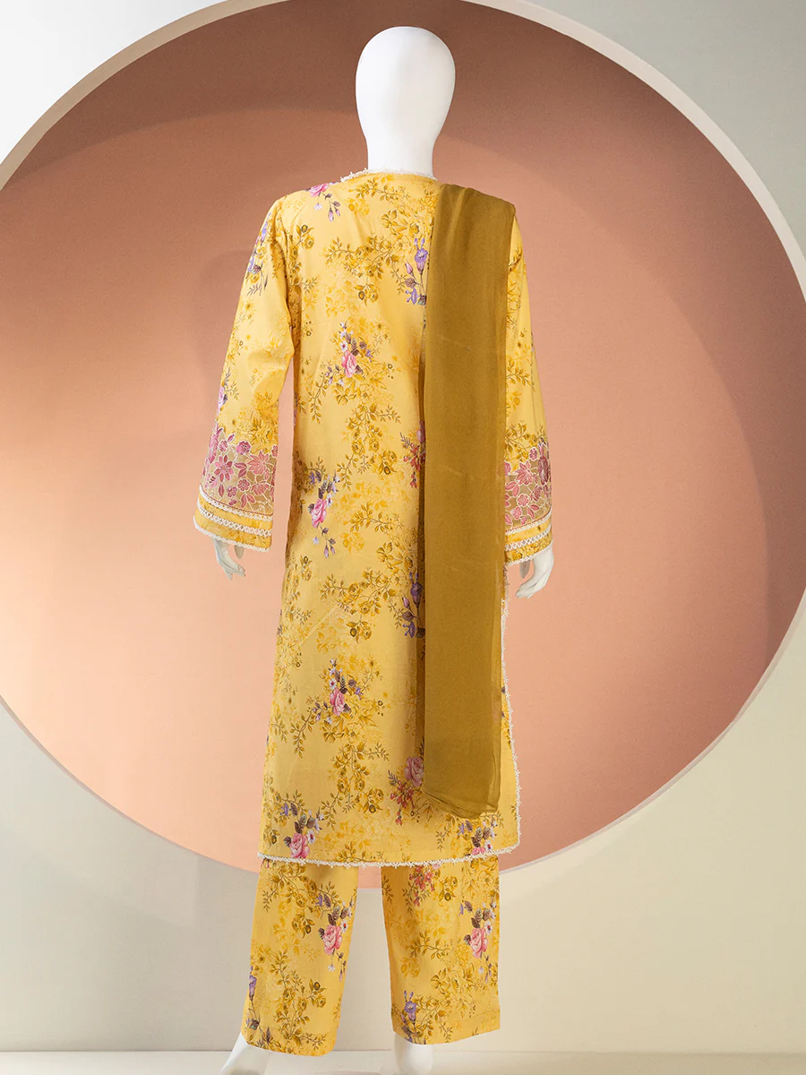 Delicate Drape Single Duppata - Image 3